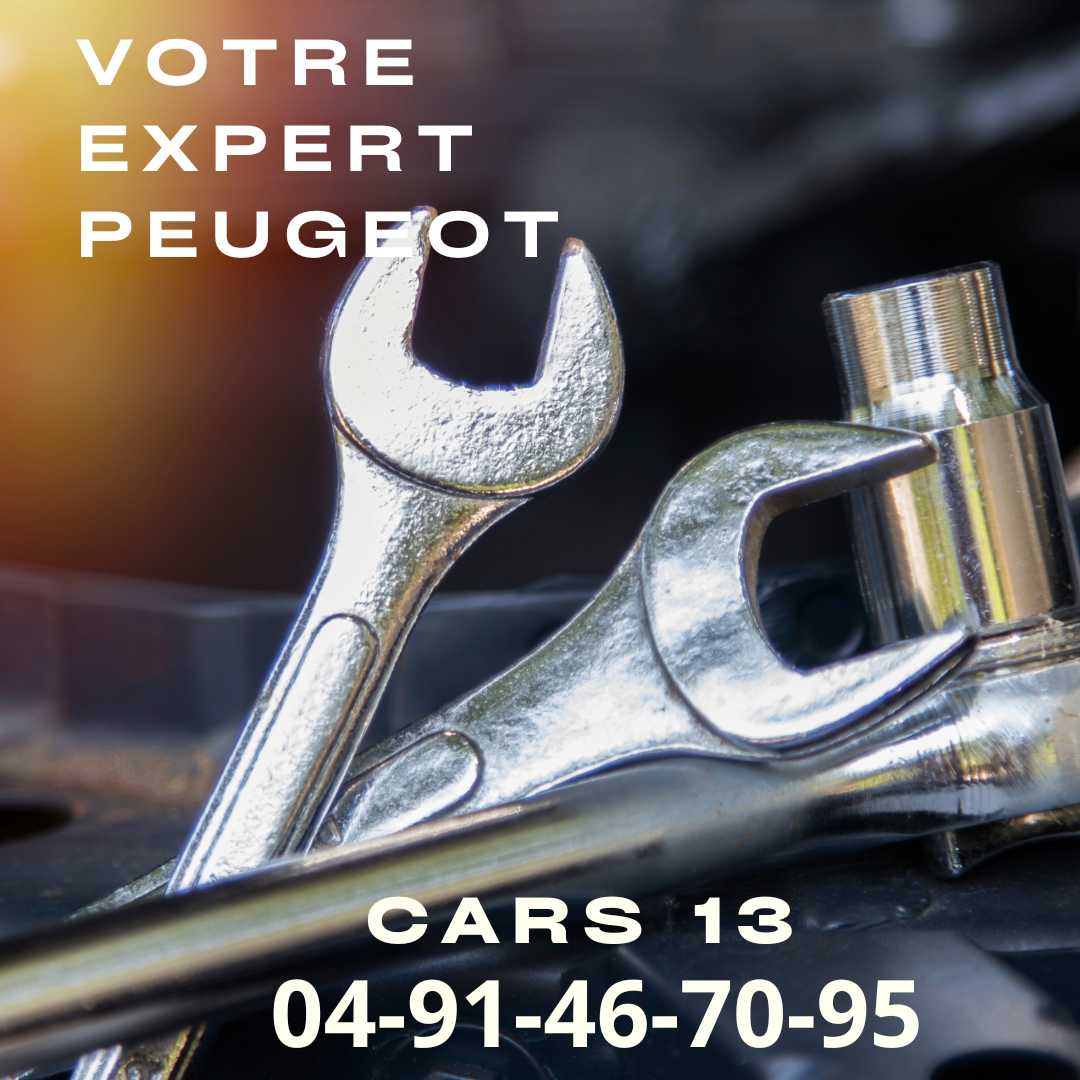 Un Service Personnalisé pour Chaque Client peugeot avec cars 13 à marseille atelier agrée